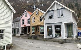 Old Town Boutiqe Apartments/ Gamle Laerdalsoyri Boutique Leiligheter